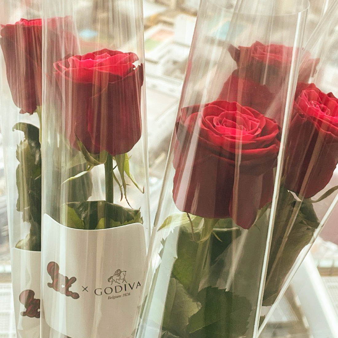 一輪のバラを大切な人に贈るバレンタインデー